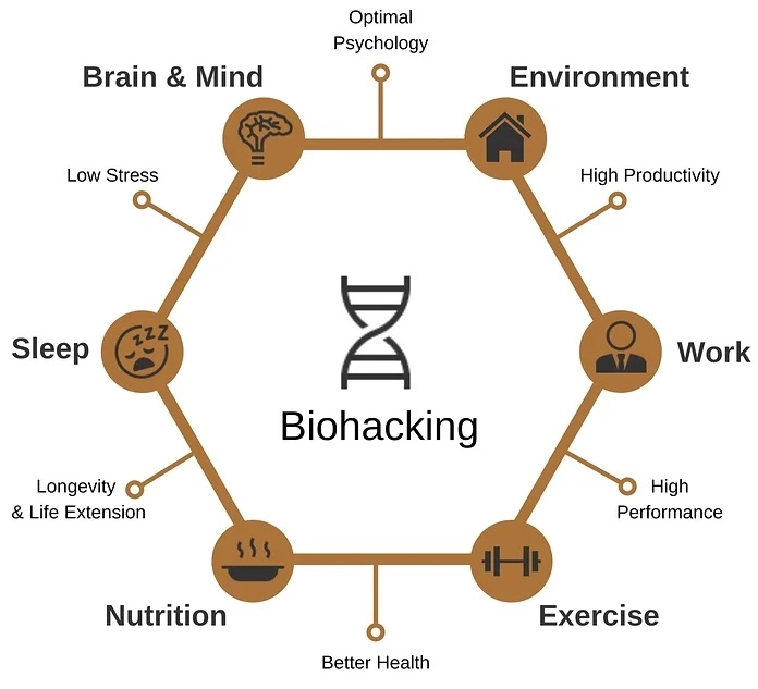 erros comuns no jejum intermitente