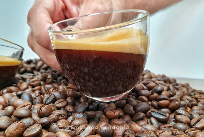 As Melhores Regiões Produtoras de Café Especial no Brasil