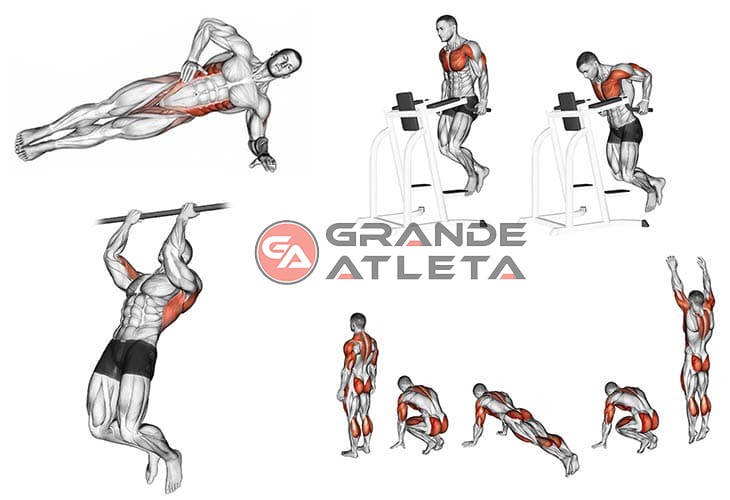 calistenia para iniciantes