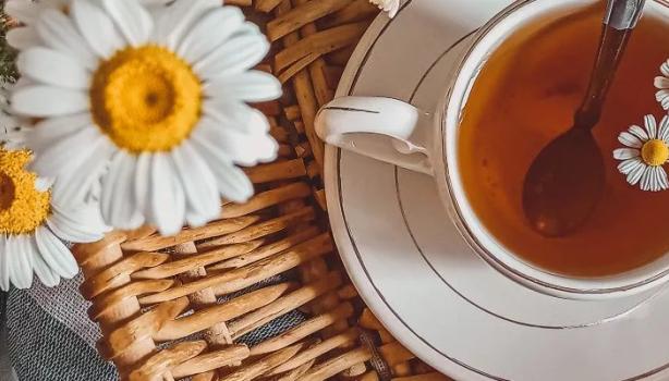 Guia completo de ervas para problemas estomacais