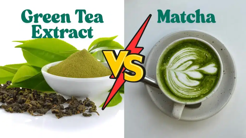 chá verde ou matcha qual o melhor