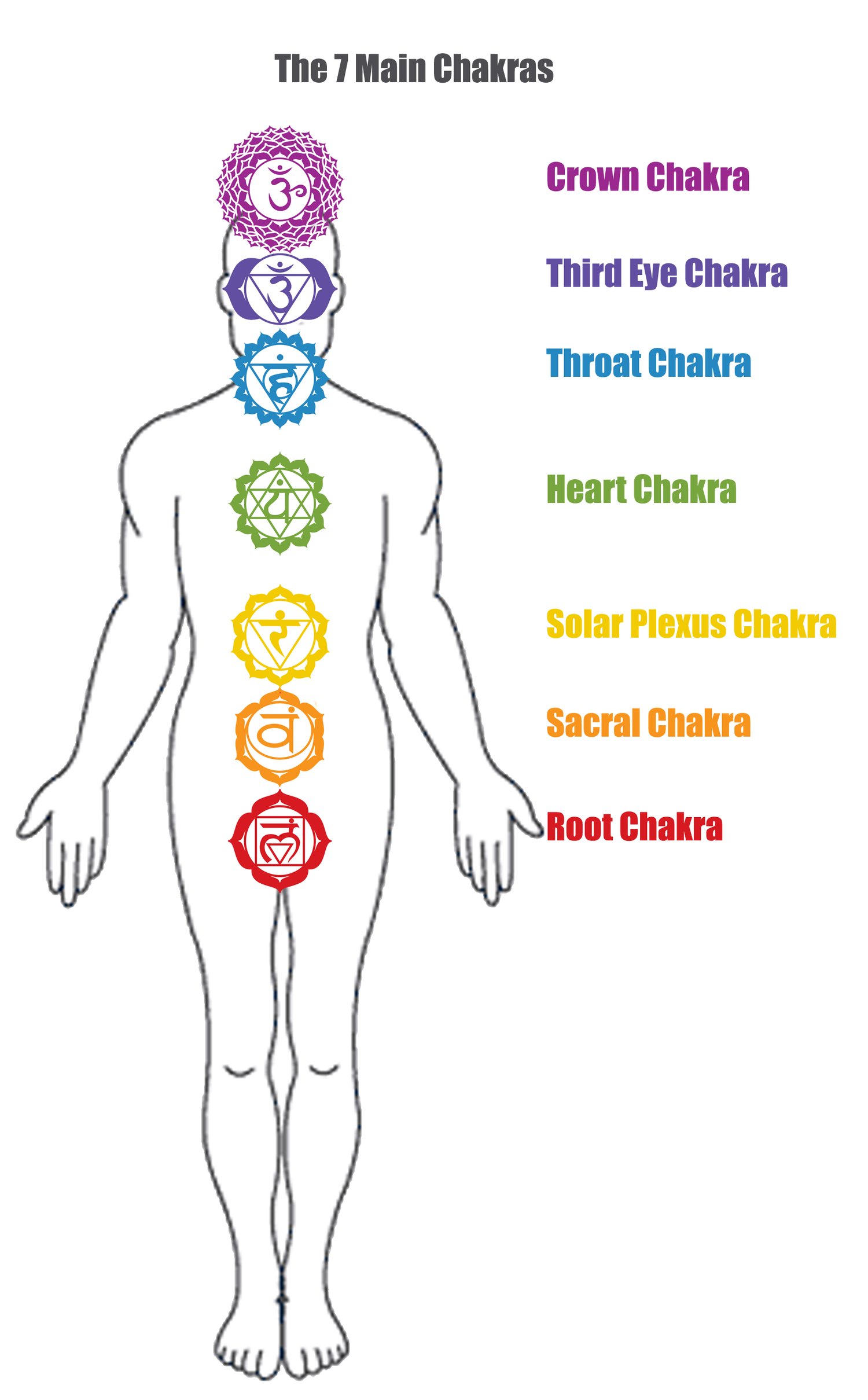 Cristais para Harmonizar o Chakra Raiz