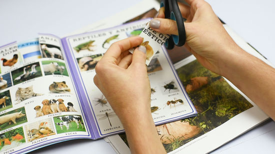 5 Dicas Essenciais para Iniciantes em Colagem Manual