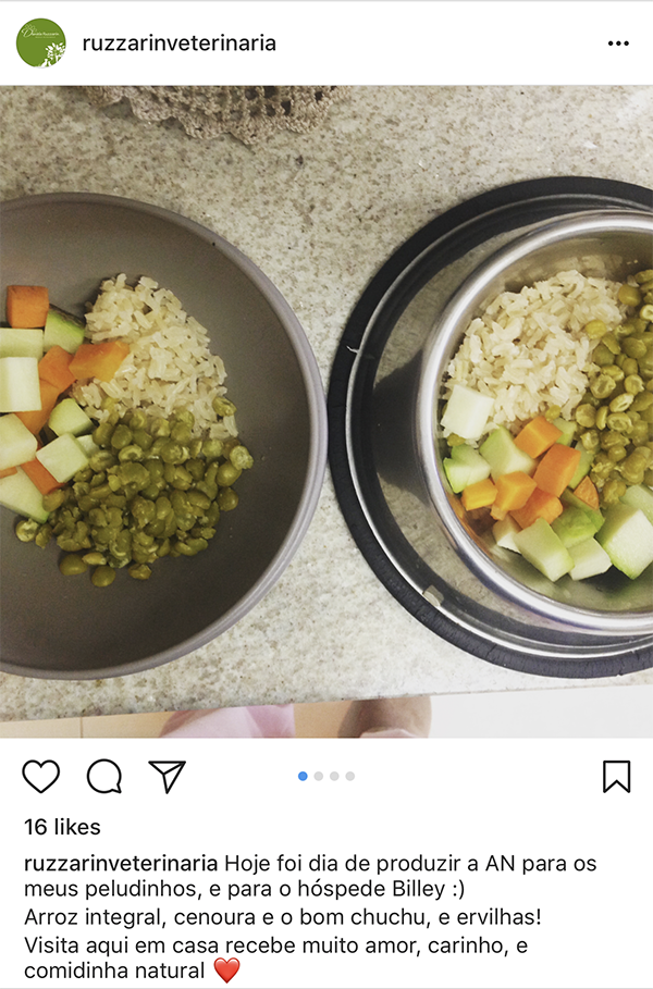 melhores receitas comida natural pet caseira