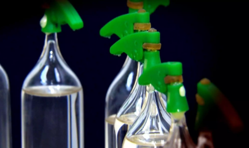 Onde buscar ajuda profissional para dependência química