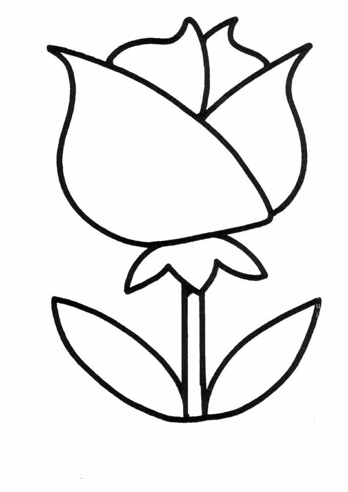 Desenho livre vs. desenho dirigido: qual o melhor?