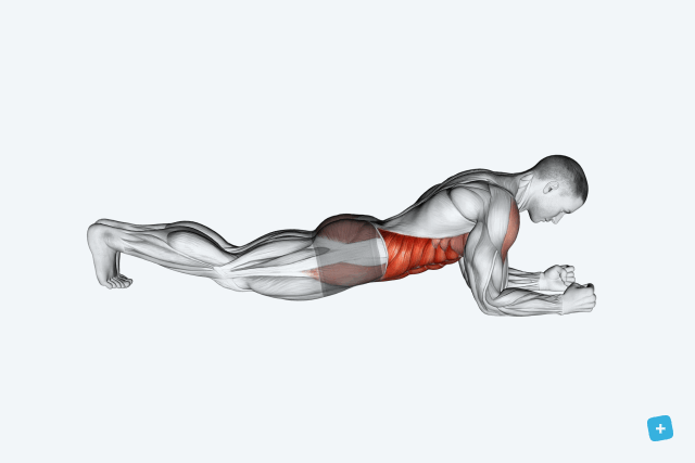 melhores exercicios para perder barriga rapido em casa