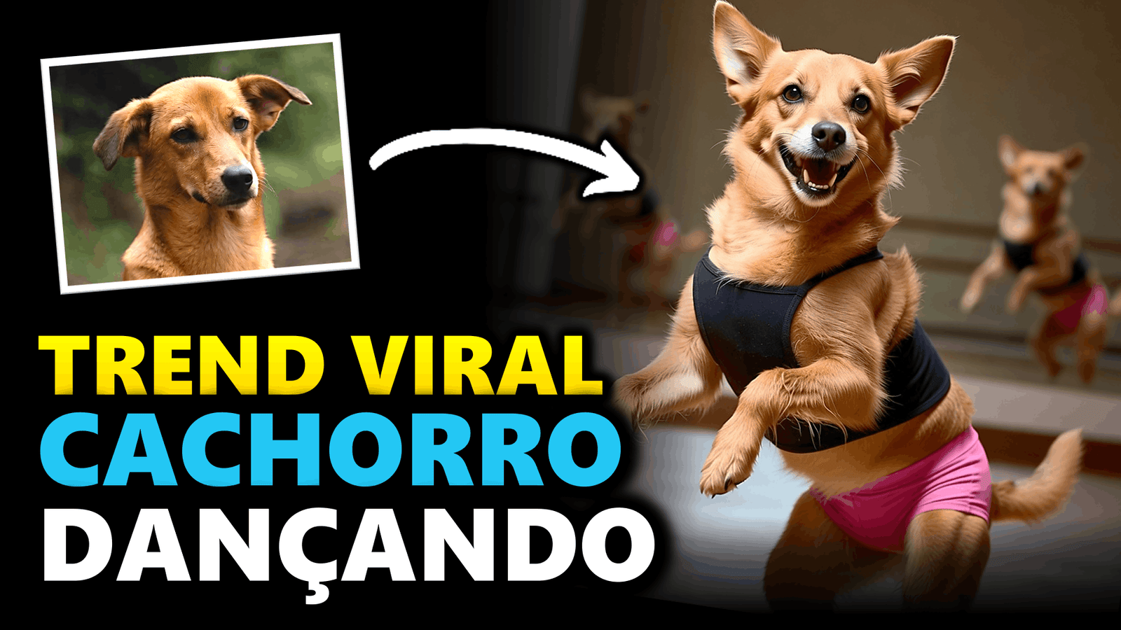como fazer ia de cachorro