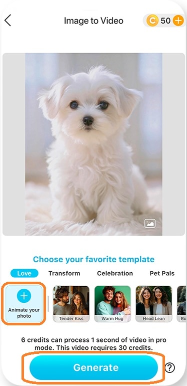 como fazer ia de cachorro