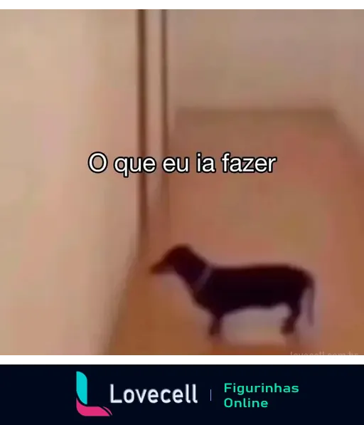 Explorando o potencial do YOLO para detecção de cães em tempo real