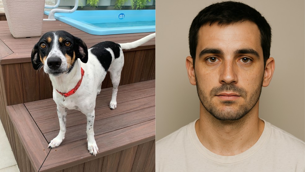 Construindo seu próprio cachorro robô com Raspberry Pi e Arduino