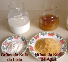 5 Receitas Criativas para Saborizar seu Kefir de Água
