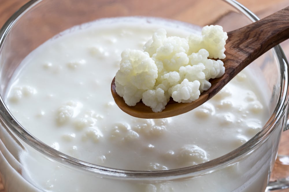 Kefir de Água vs. Kefir de Leite: Qual a Diferença e Qual Escolher?
