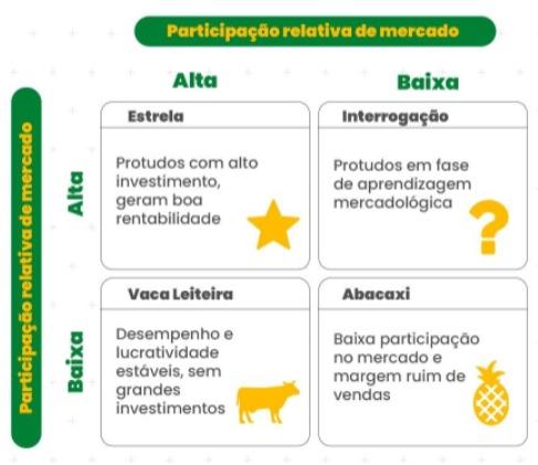erros comuns ao montar matriz bcg