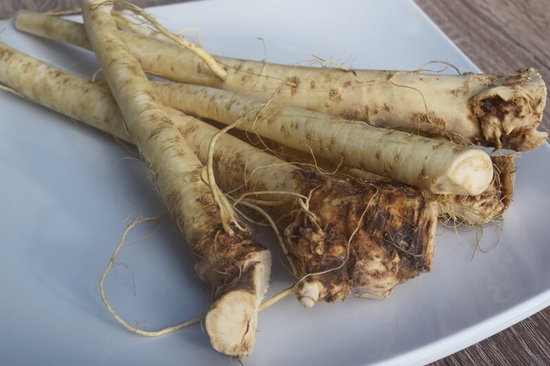 Receita de Raizada Digestiva com Jurubeba