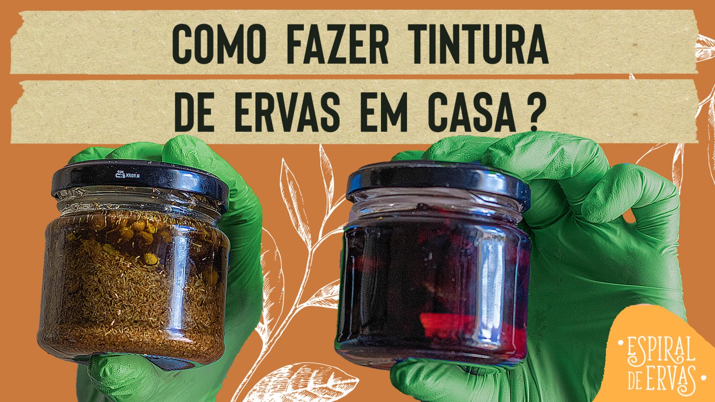 Sete Sangrias: Uma aliada natural para a saúde cardiovascular