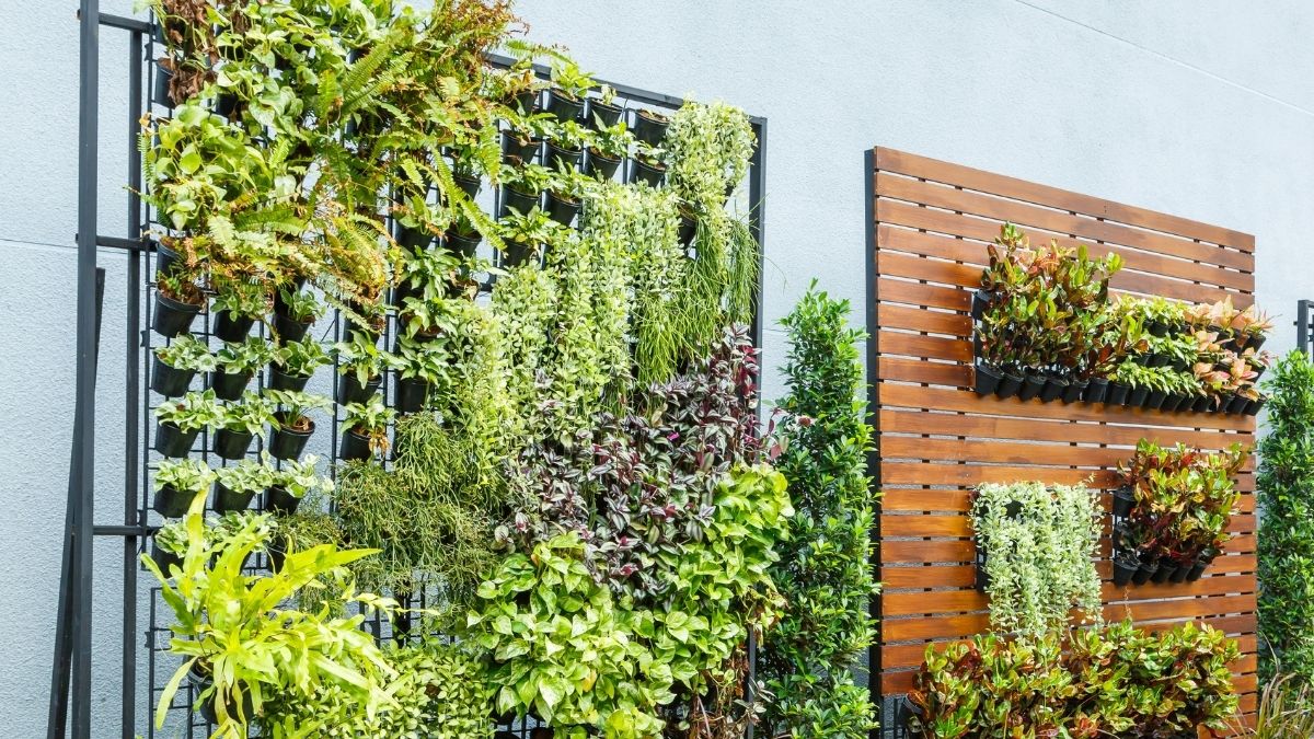 ideias de jardim vertical para apartamento pequeno
