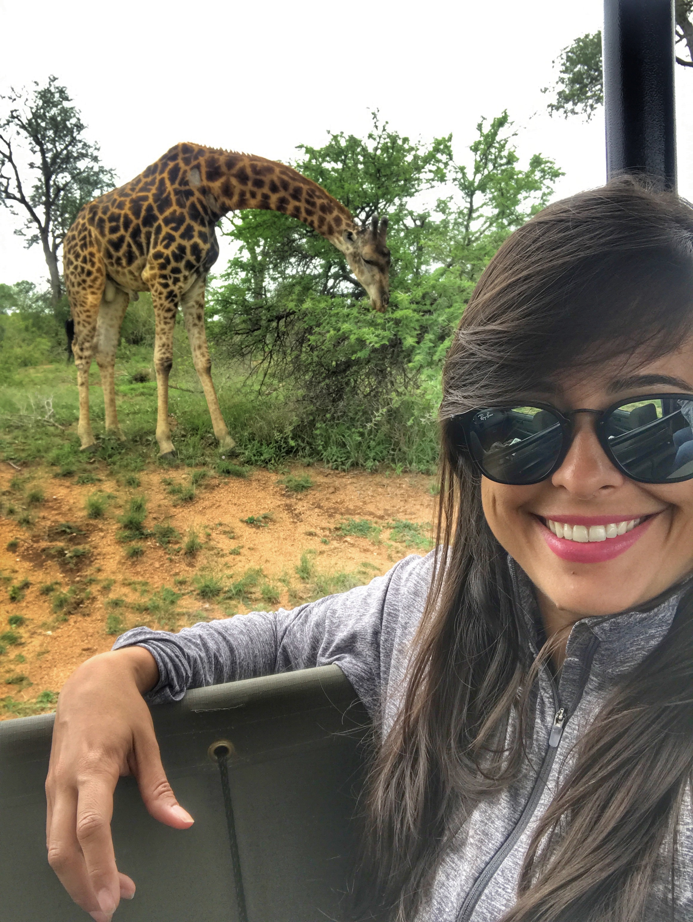 como fazer um orçamento para um safari na África