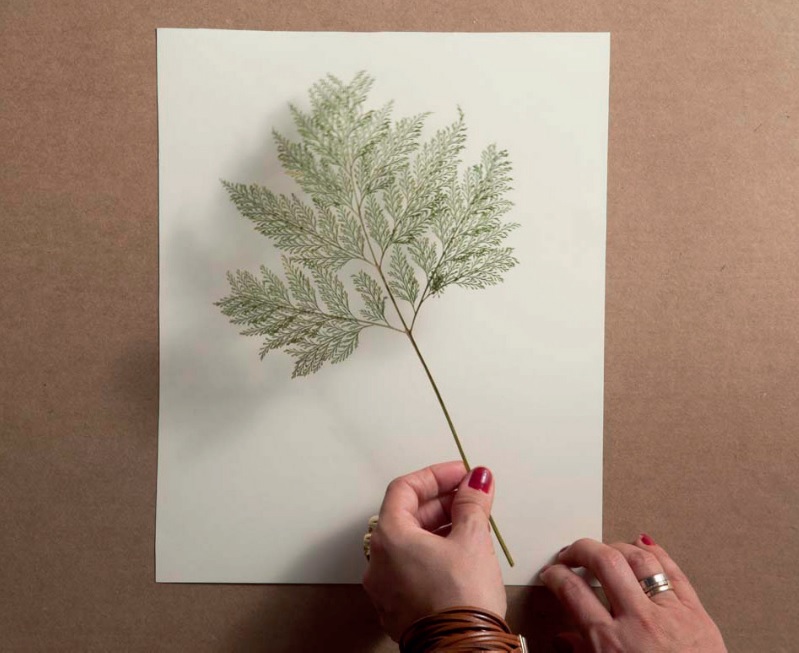 5 ideias criativas de layout para quadros de flores secas