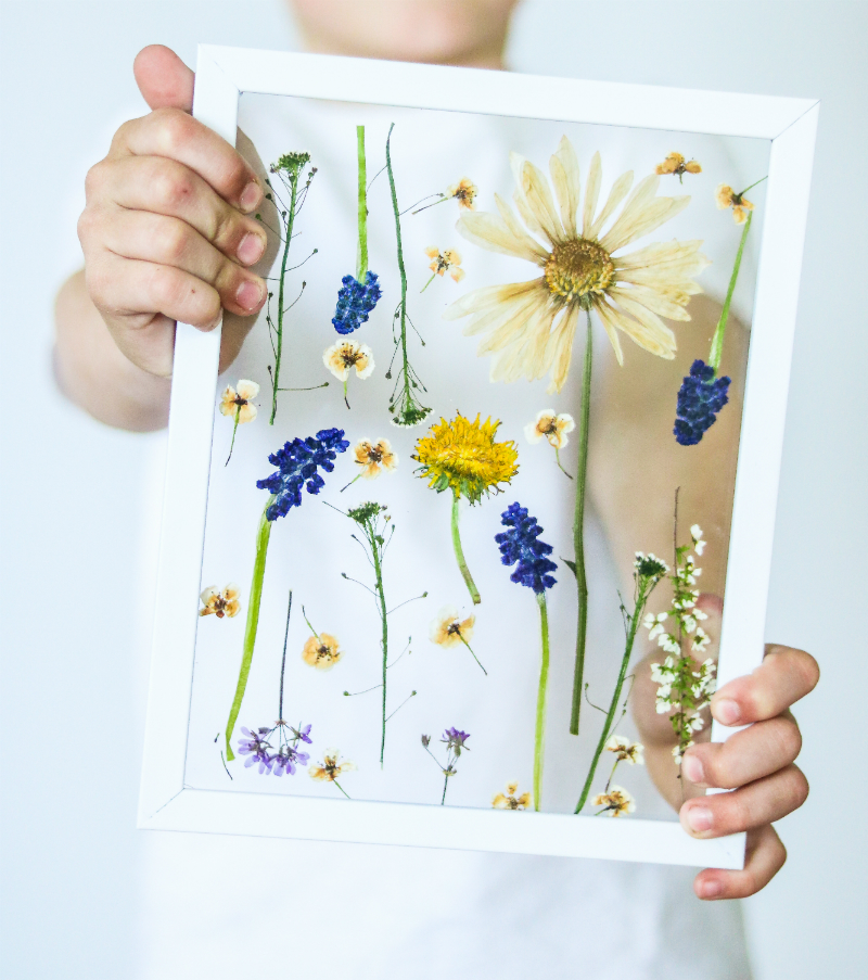 Onde comprar molduras para quadros de flores