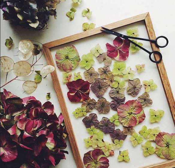 Como usar flores secas em outros tipos de artesanato