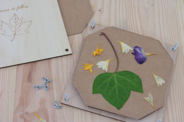 5 ideias criativas de layout para quadros de flores secas