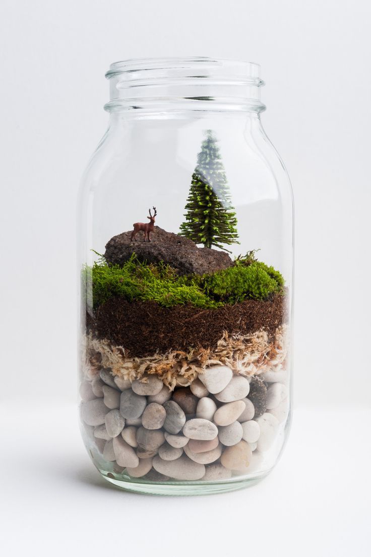 DIY Terrário: Transforme um Pote de Vidro em um Jardim Encantado