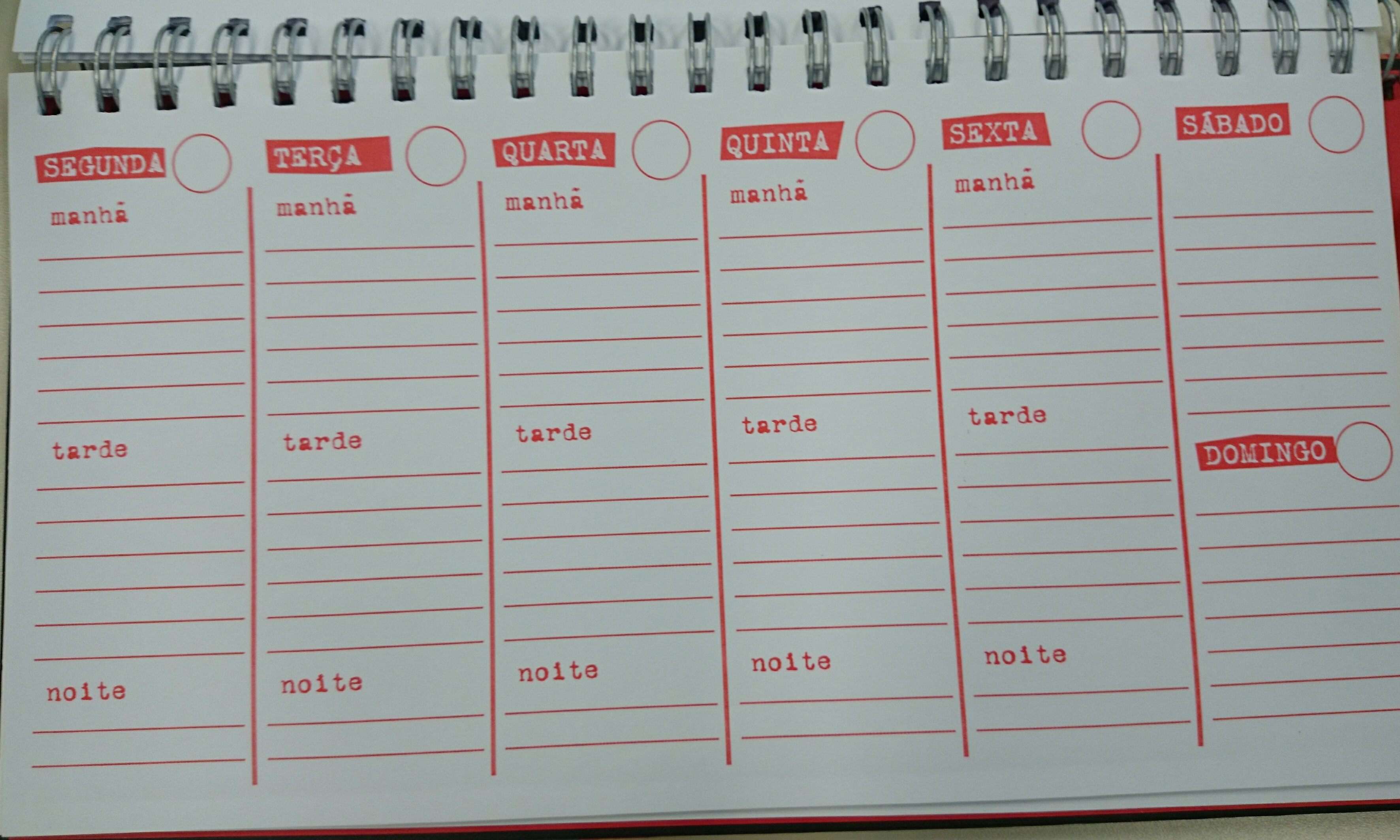 erros comuns ao fazer agenda caseira