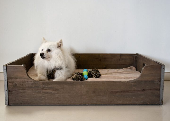 como fazer uma caminha para cachorro passo a passo