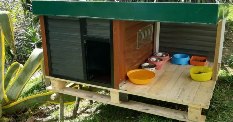 5 Materiais Inesperados para Construir uma Casinha de Gato