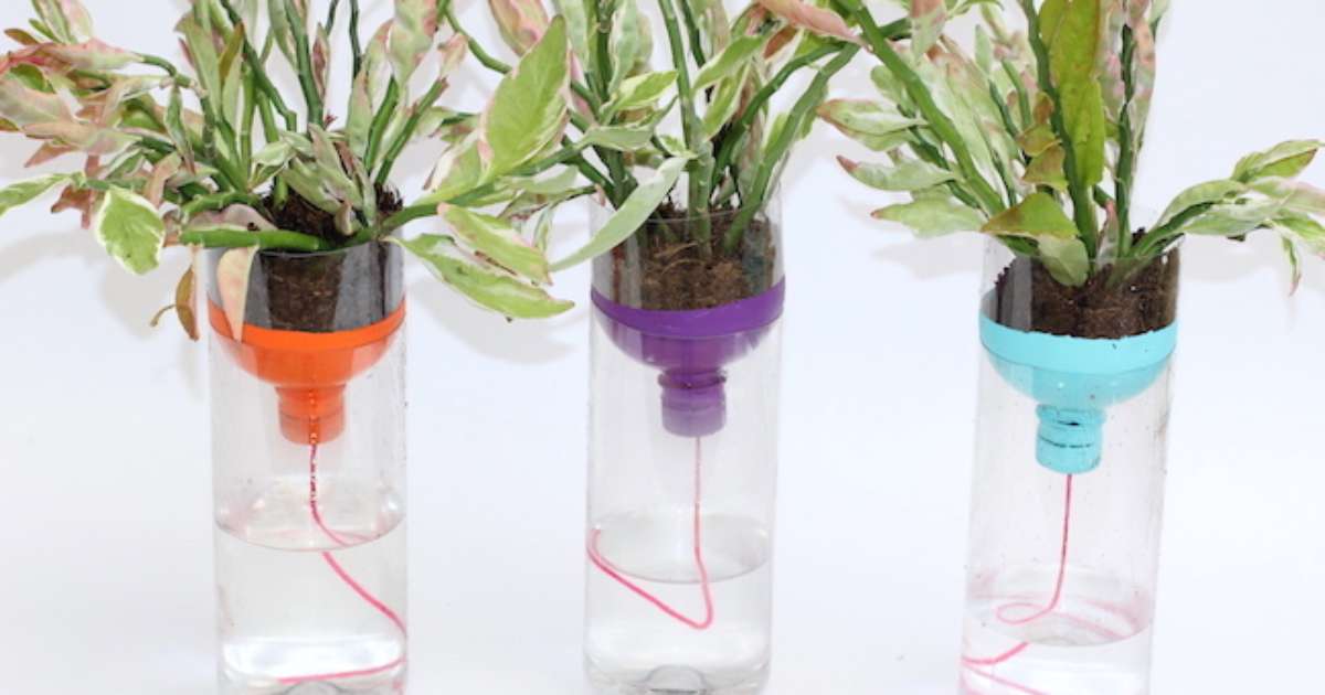 como fazer vaso auto irrigável