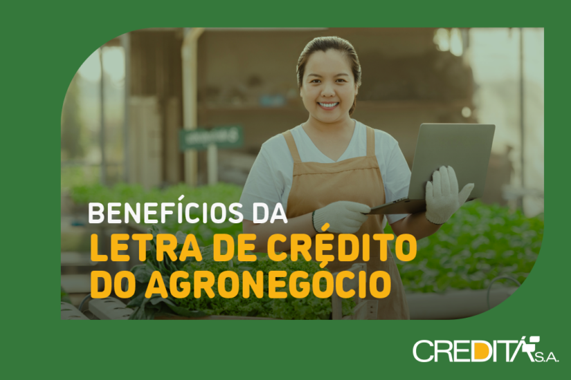 Desmistificando a Carência na LCA: Prazos e Resgates