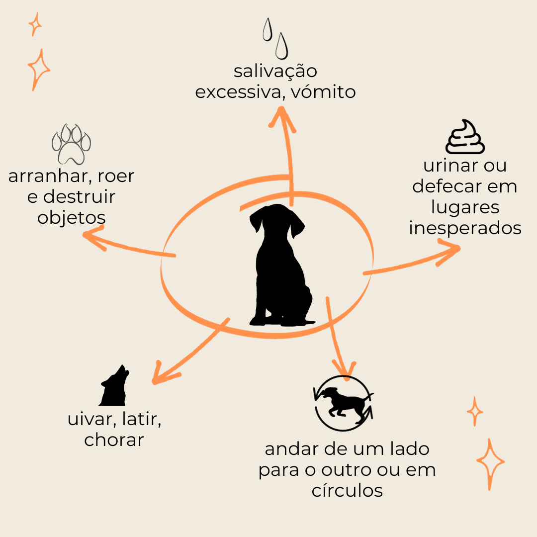como lidar com a ansiedade de separação em cães