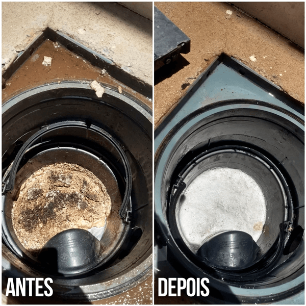 Limpadores Biológicos vs. Limpeza Manual: Qual o Melhor?