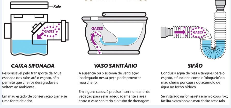 como tirar cheiro esgoto banheiro