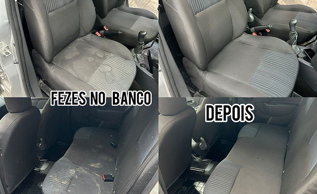 erros comuns ao limpar vomito do carro