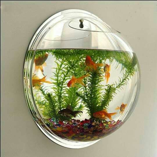 decoração com aquários