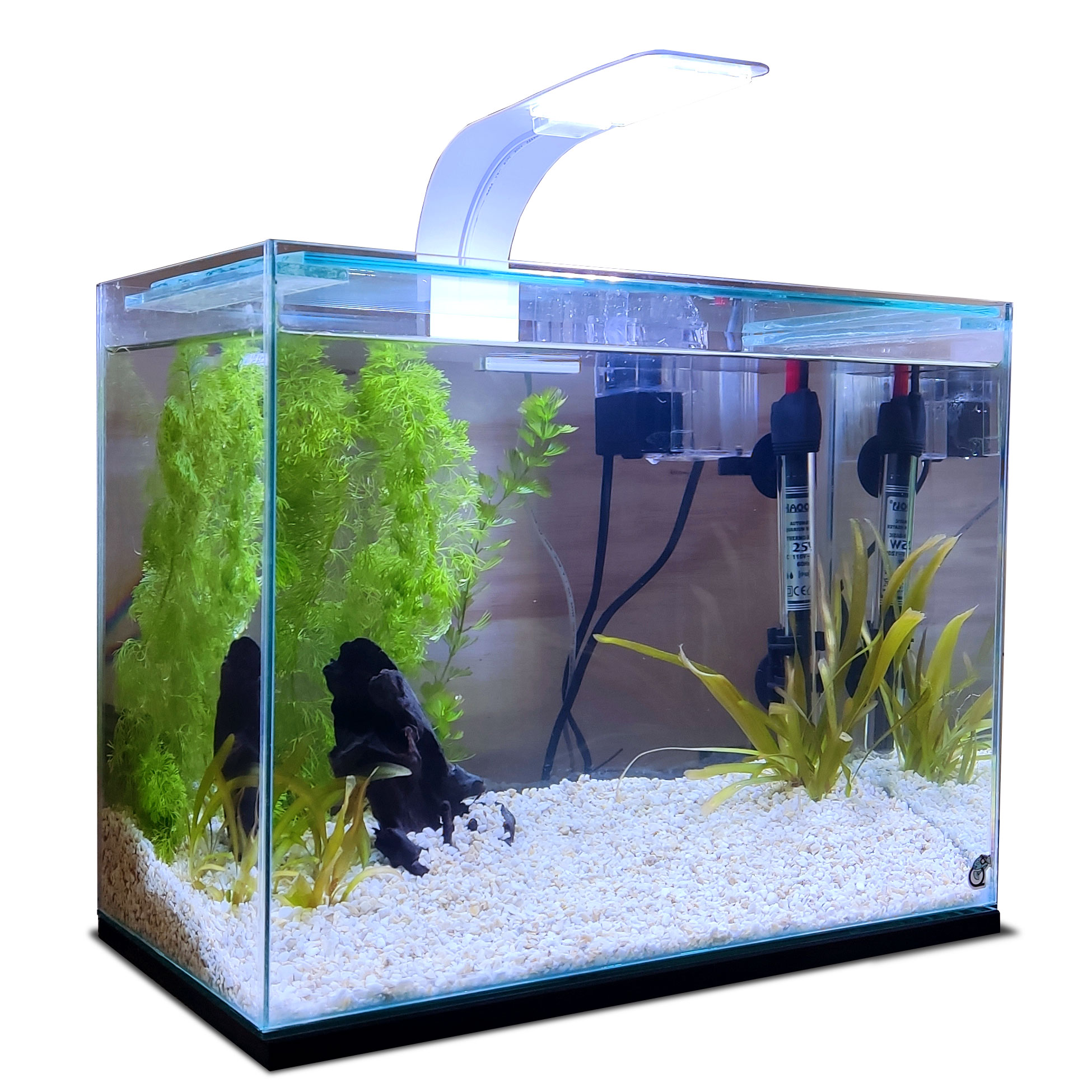 Guia Completo de Aquascaping para Iniciantes