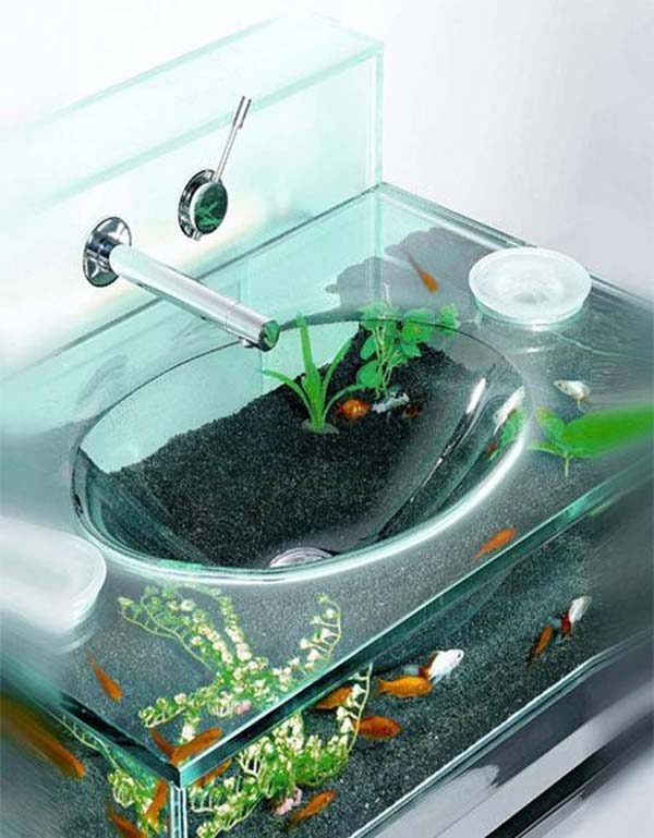 Guia Completo de Aquascaping para Iniciantes