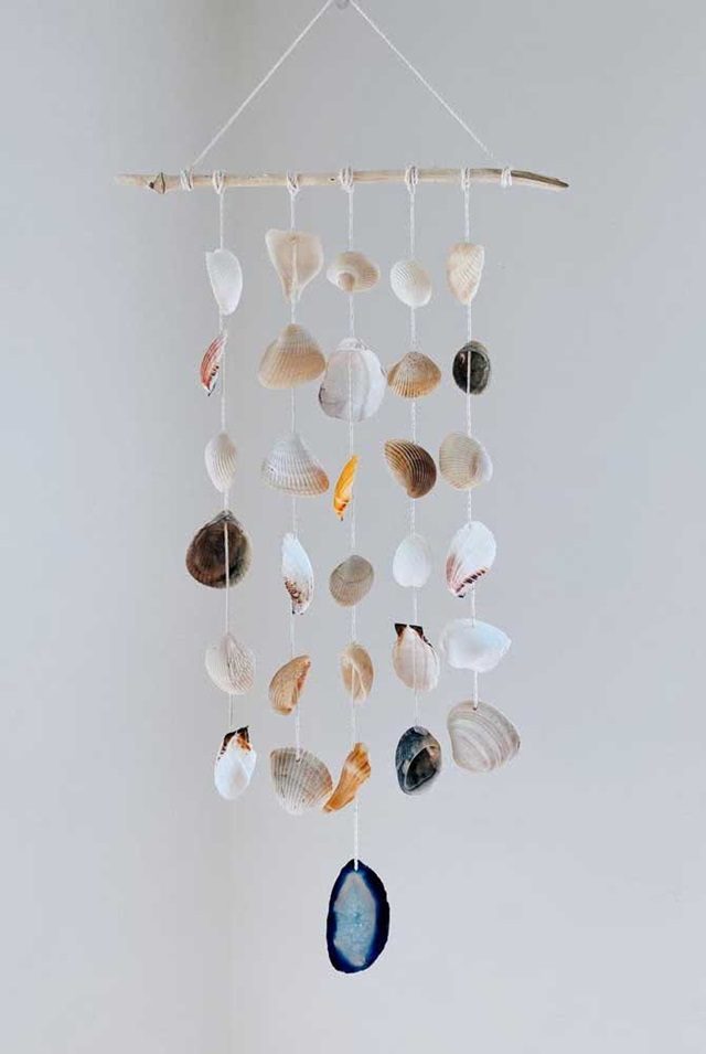 decoração com conchas vs decoração com estrelas do mar