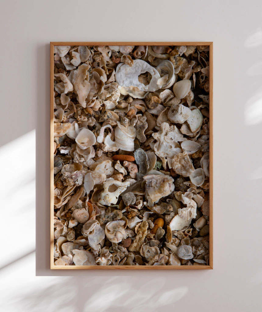 como fazer sinos de vento com conchas