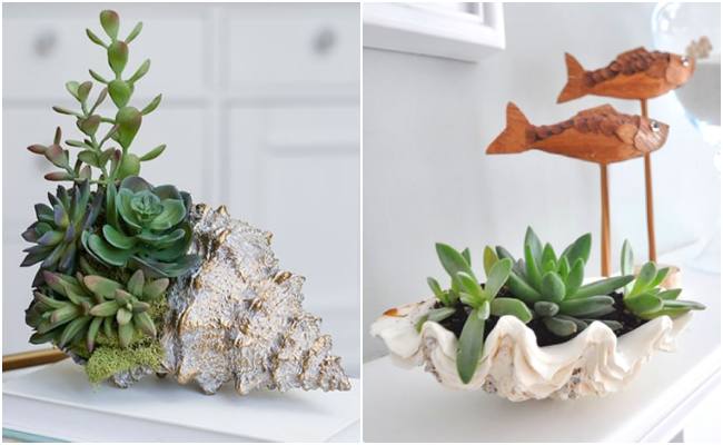 5 ideias de quadros com conchas