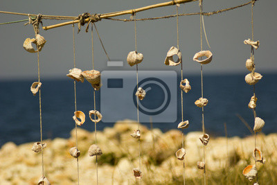 5 ideias de quadros com conchas