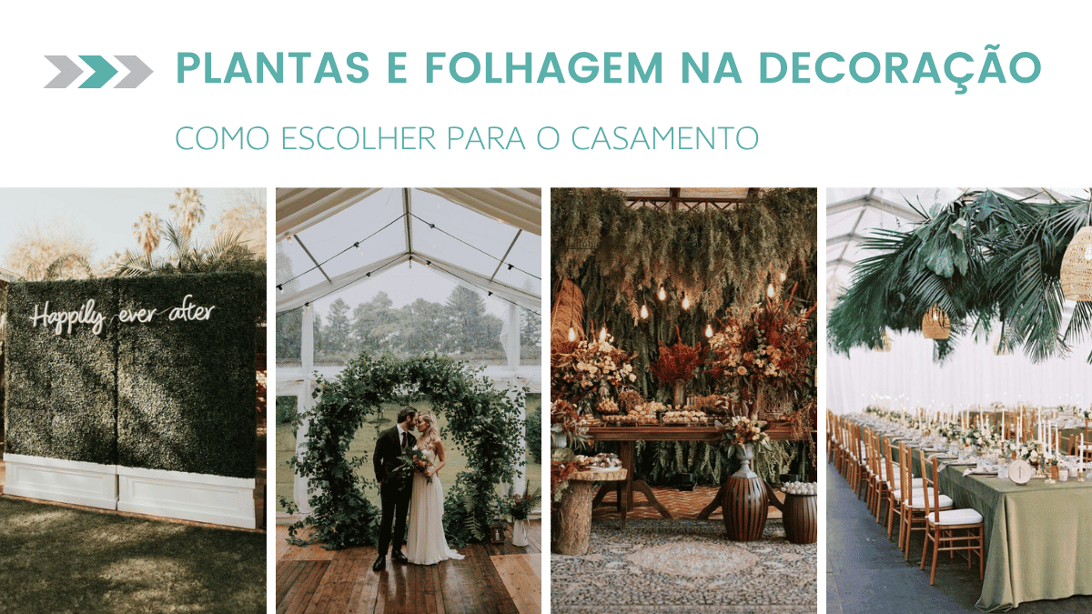 erros comuns ao decorar com plantas em casa