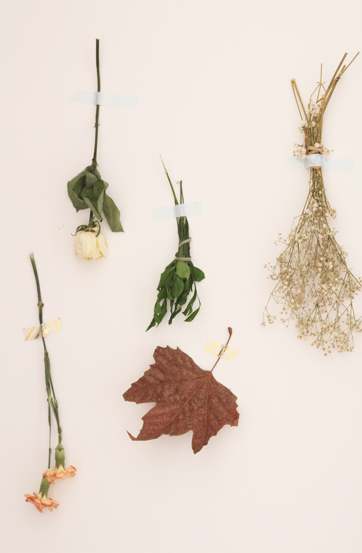 como desidratar folhas de eucalipto para decoração