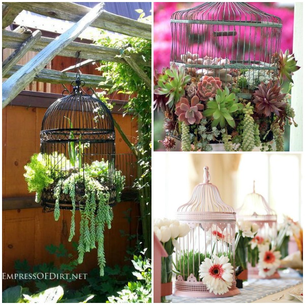 decoração com gaiolas de passarinho