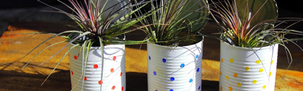 erros comuns ao decorar com latas de metal