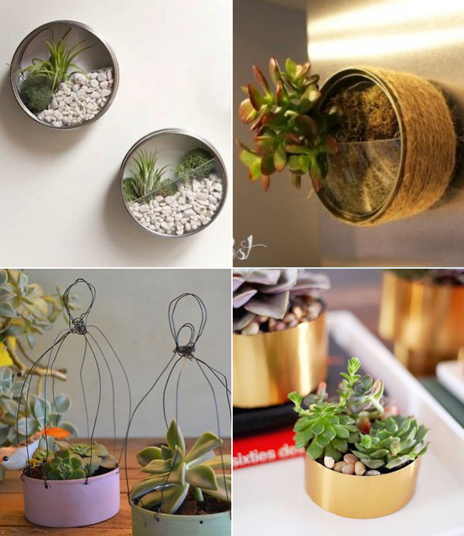 latas decoradas vs. vasos de cerâmica para plantas