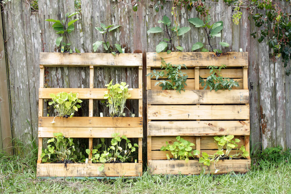 pallets para jardim