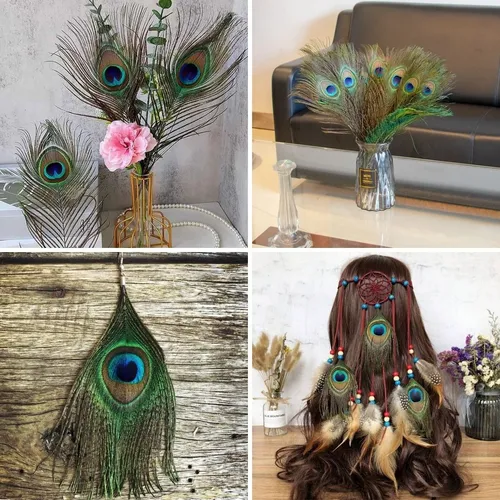 Guia Completo de Decoração com Elementos Naturais